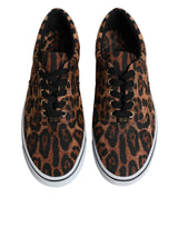 Dolce & Gabbana Brown Leopard Logo Print Cotton Sneakers Shoes